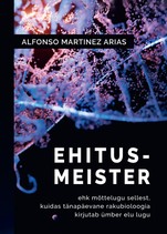 Ehitusmeister