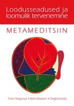 Metameditsiin